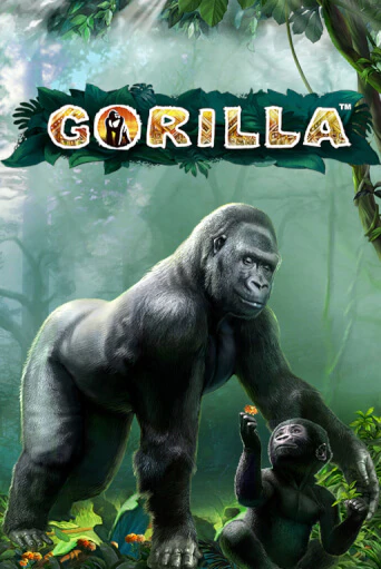 Gorilla онлайн демо без регистрации | Азино 777
